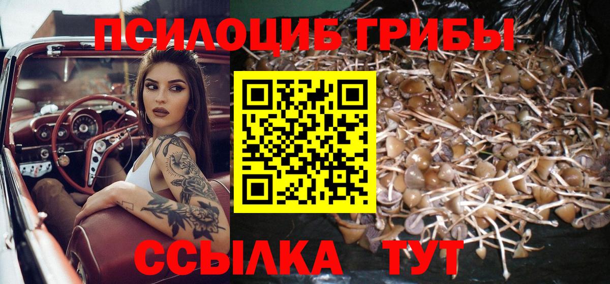 Псилоцибиновые грибы MAGIC MUSHROOMS Аксай