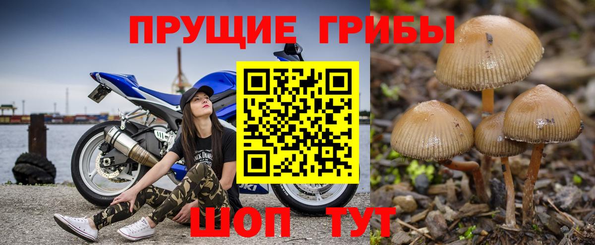 Галлюциногенные грибы GOLDEN TEACHER  Галлюциногенные грибы Magic Shrooms  Вход с VPN  Аксай 